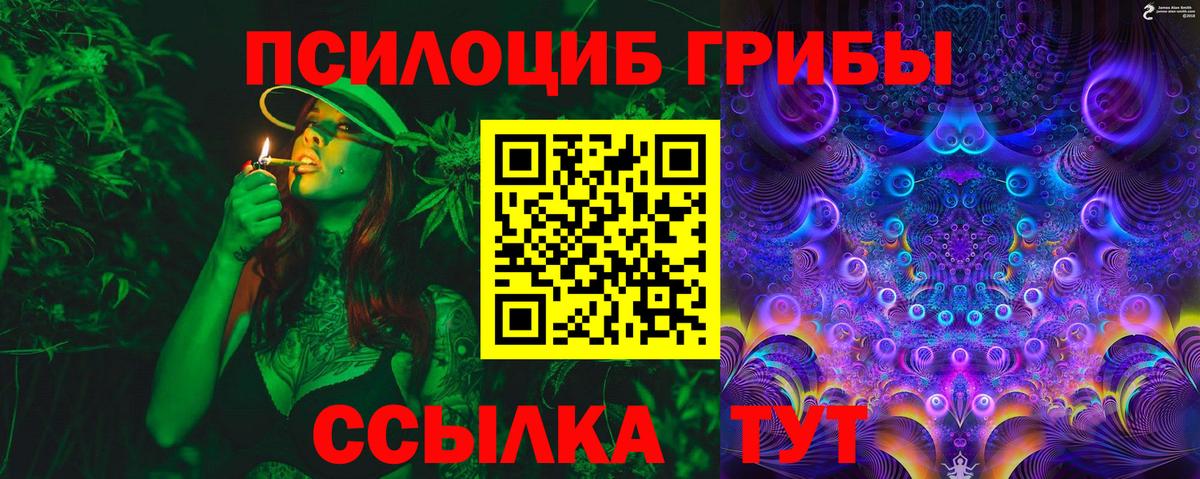 Алушта  Псилоцибиновые грибы GOLDEN TEACHER  Вход с VPN  Галлюциногенные грибы прущие грибы 